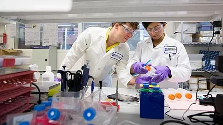 Harvard scientists