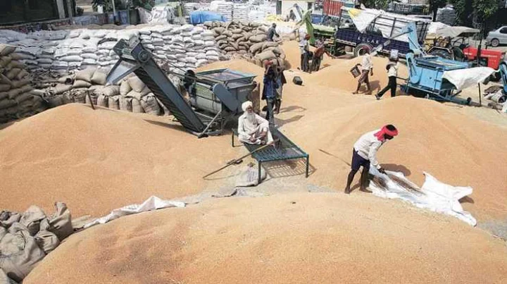 wheat import