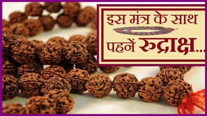 1 से 14 मुखी रुद्राक्ष धारण करने के ये हैं दिव्य मंत्र...