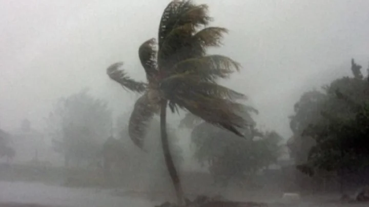 Storm