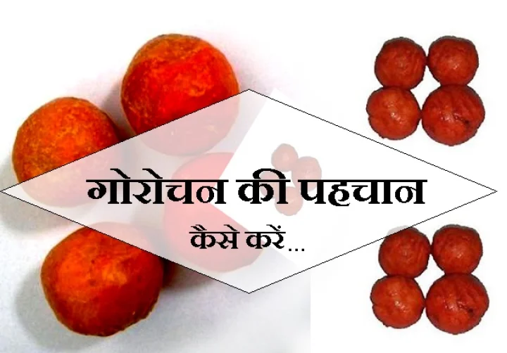 गोरोचन क्या है
