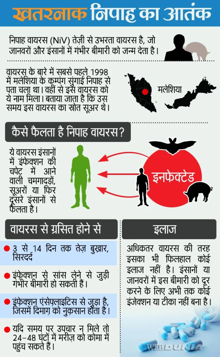 nipah virus 