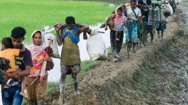 Rohingyas refugee