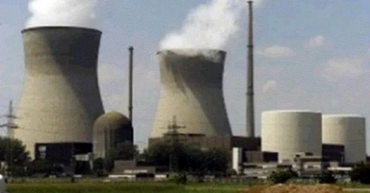 Coal