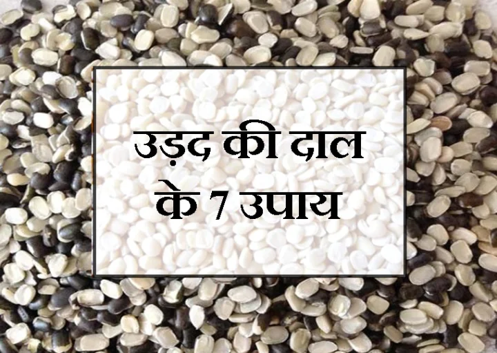 उड़द की दाल