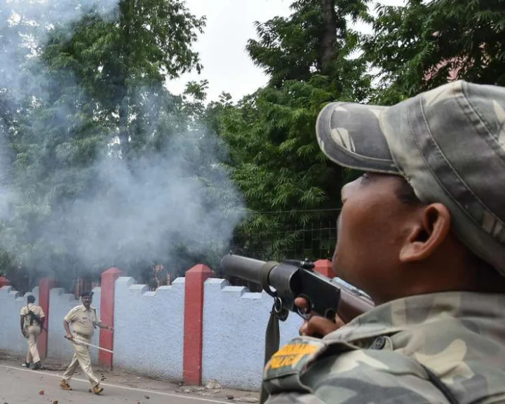Pathalgadi protesters
