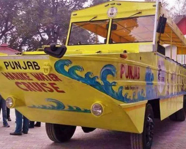 Harike cruise
