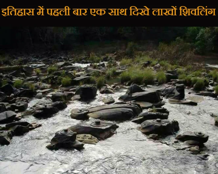 क्या इतिहास में पहली बार एक साथ दिखे लाखों शिवलिंग, जानिए सच..