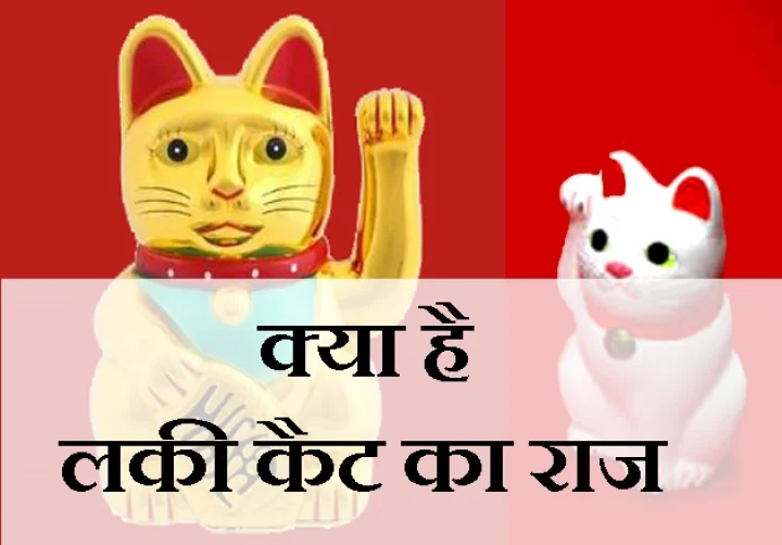 लकी कैट