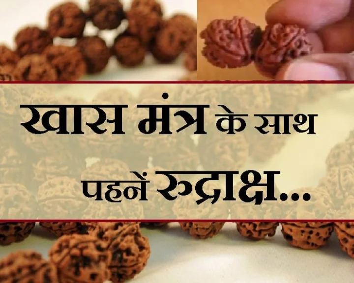 Rudraksha