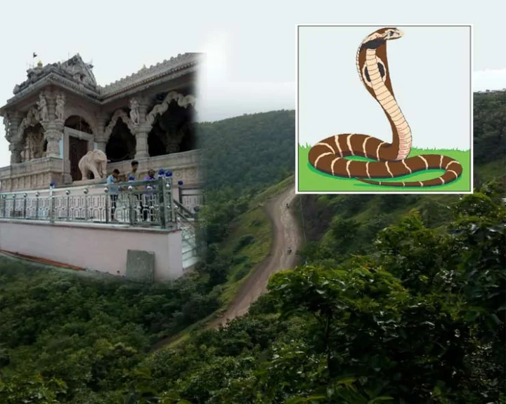 nag panchami traditional worship