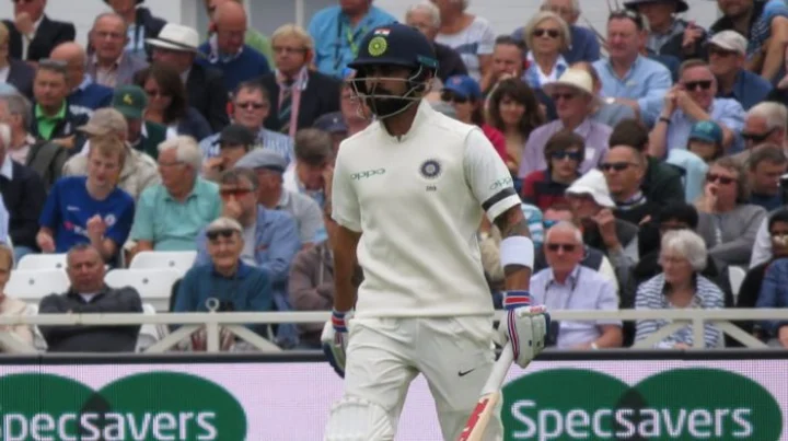 Cricket