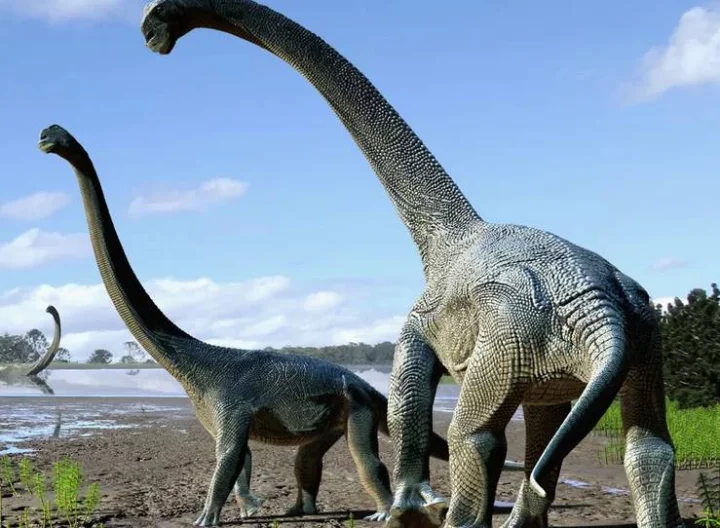 Dinosaurs