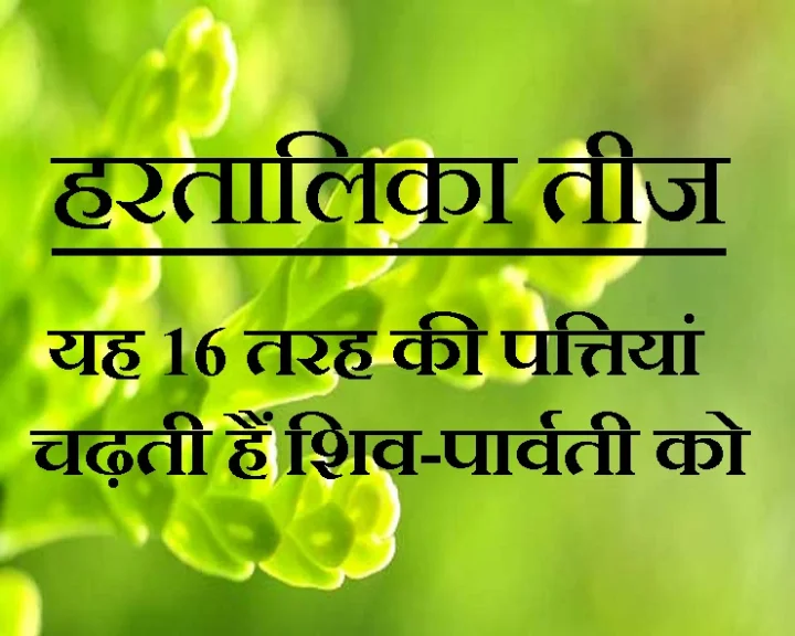 हरतालिका तीज