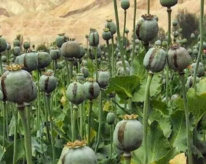 Afghanistan
