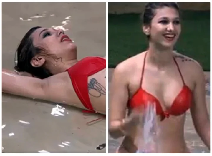 bigg boss 12