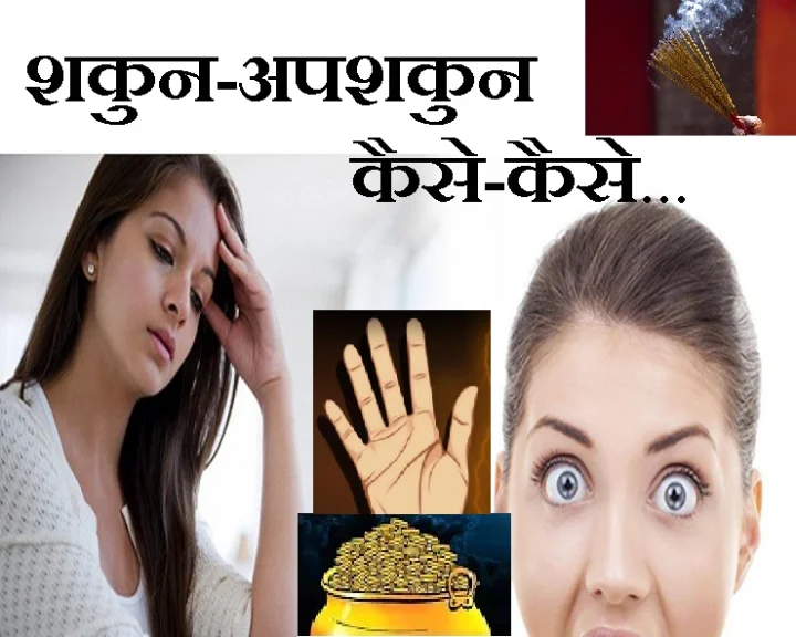 शकुन