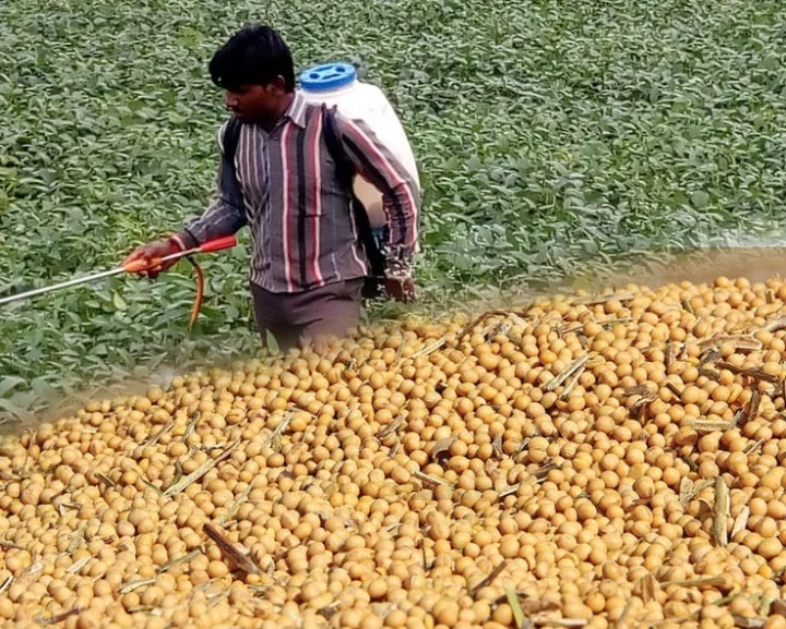 Farmer