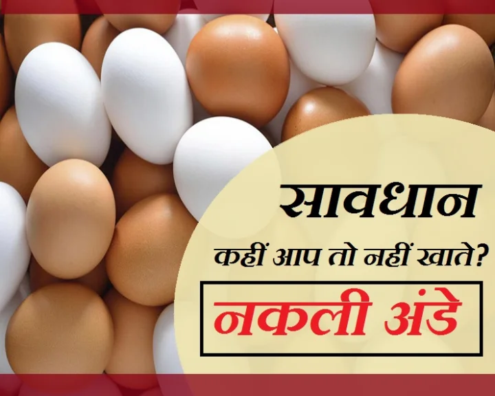 अंडा