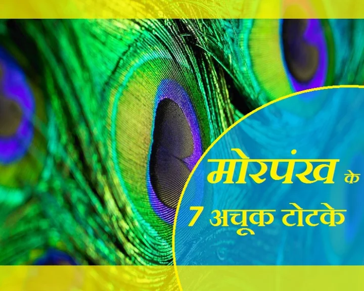 मोरपंख