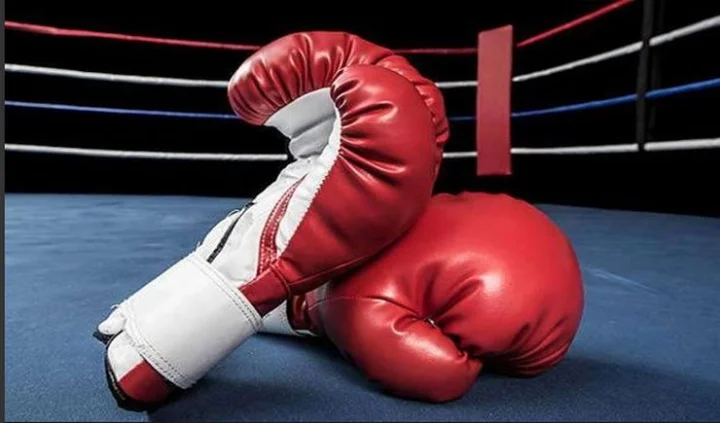 Indian boxers