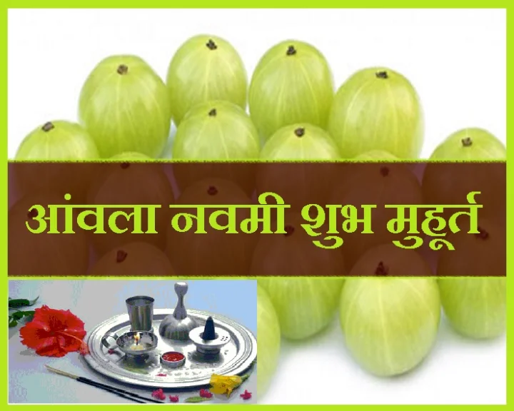 आंवला नवमी पूजन का समय