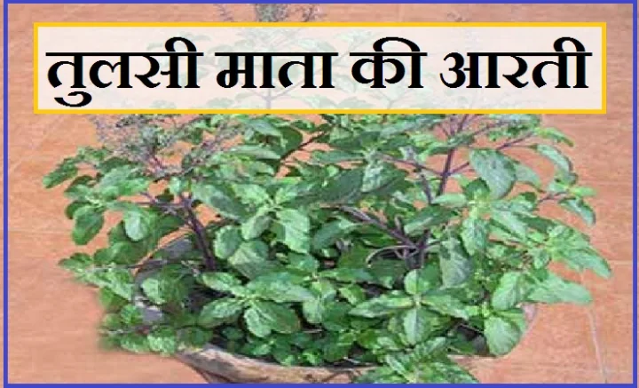 Jai Tulsi Mata Aarti