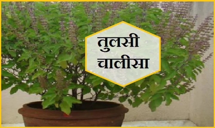 shri Tulsi Chalisa