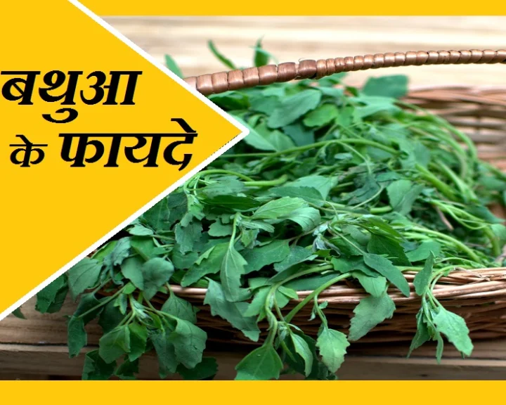 Health Benefits of Eating Bathua