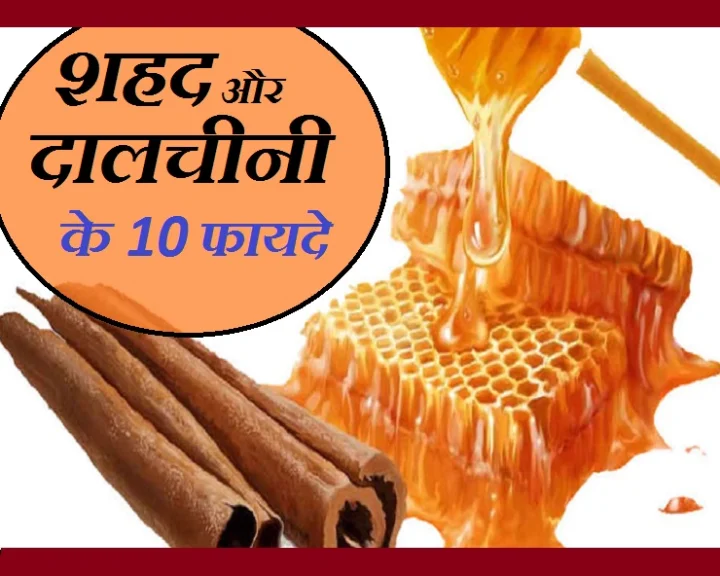 dalchini