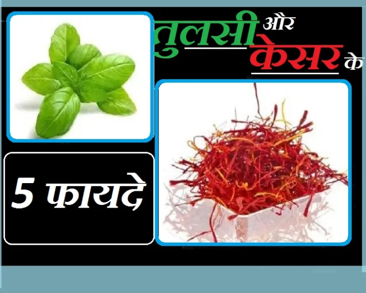 केसर