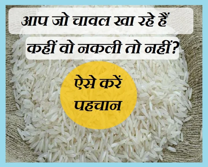 चावल