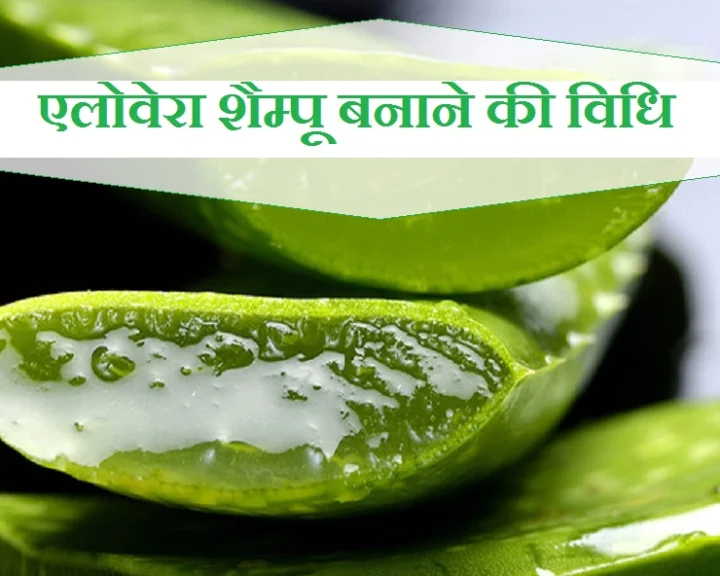How To Make Homemade Herbal Shampoo At Home