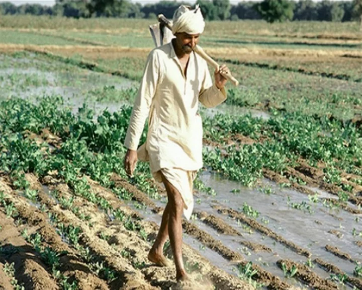 किसान अन्नदाता दिवस किसान दिवस