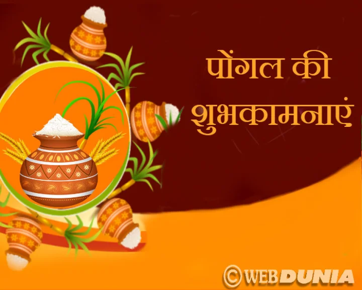 pongal festival 2019