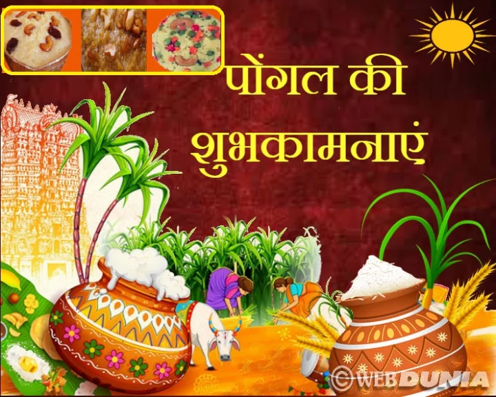 दक्षिण के जायके से मनेगा पोंगल पर्व, पढ़ें 4 लाजवाब व्यंजन विधियां...