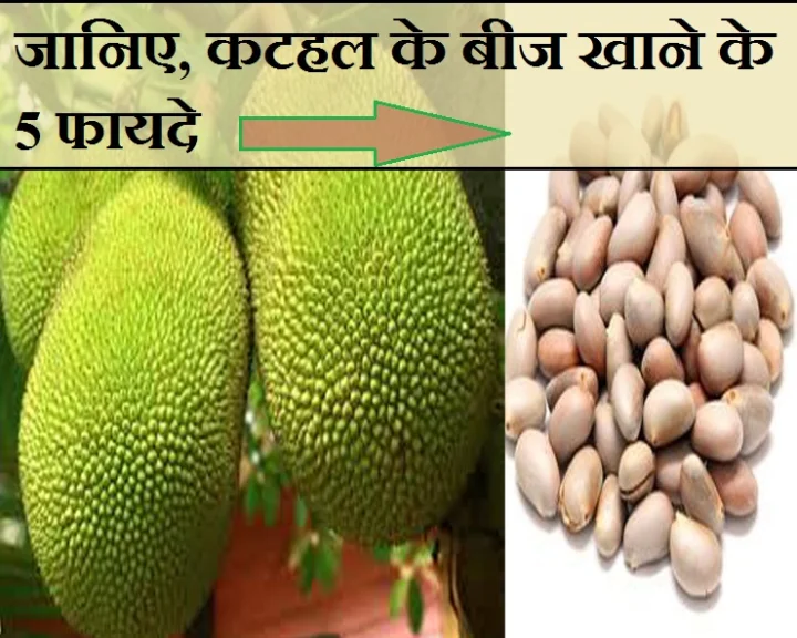 कटहल