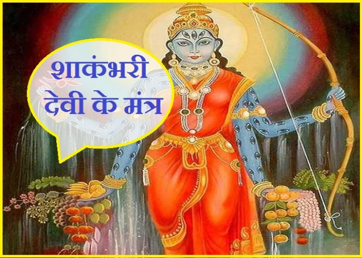Maa Shakumbhari mantra