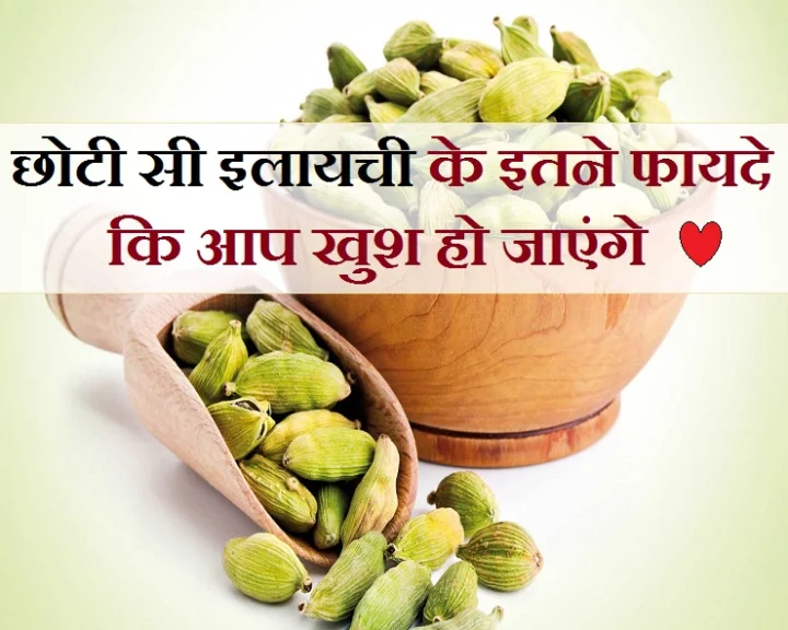 cardamom
