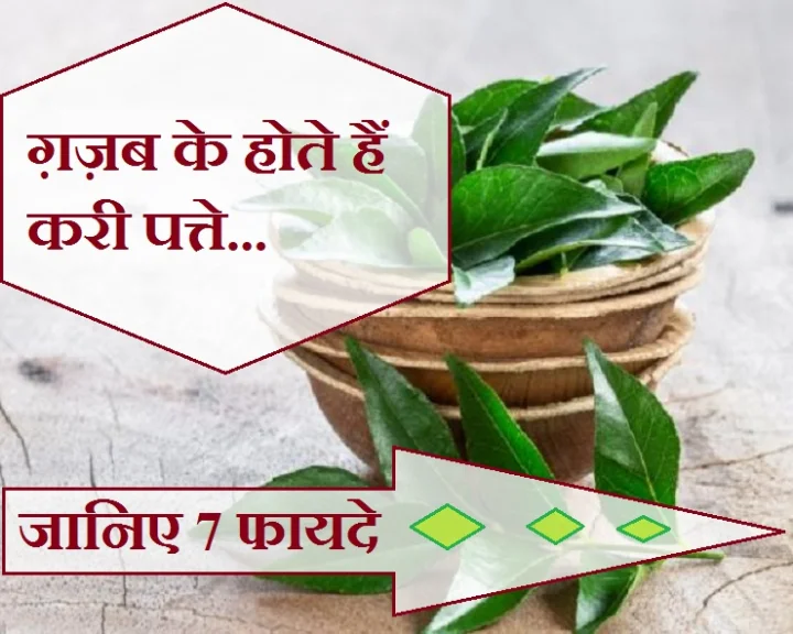 Curry Leaves