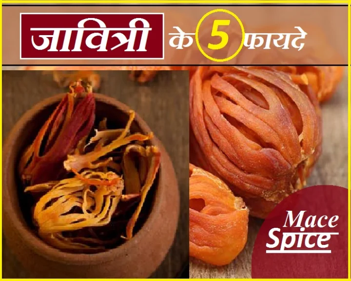 health benefit of mace spice