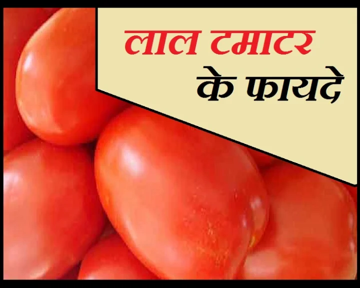 टमाटर