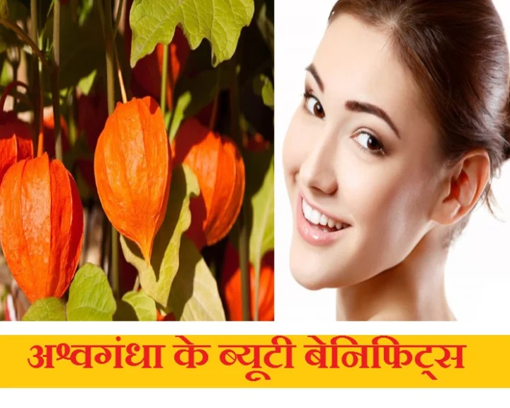 जानिए, अश्वगंधा के ऐसे ब्यूटी बेनिफिट्स जो आपको शायद ही मालूम होंगे