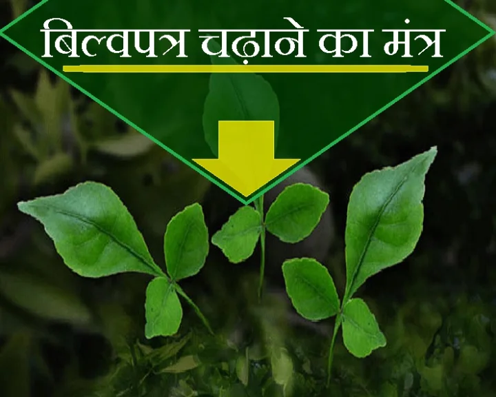 बिल्वपत्र