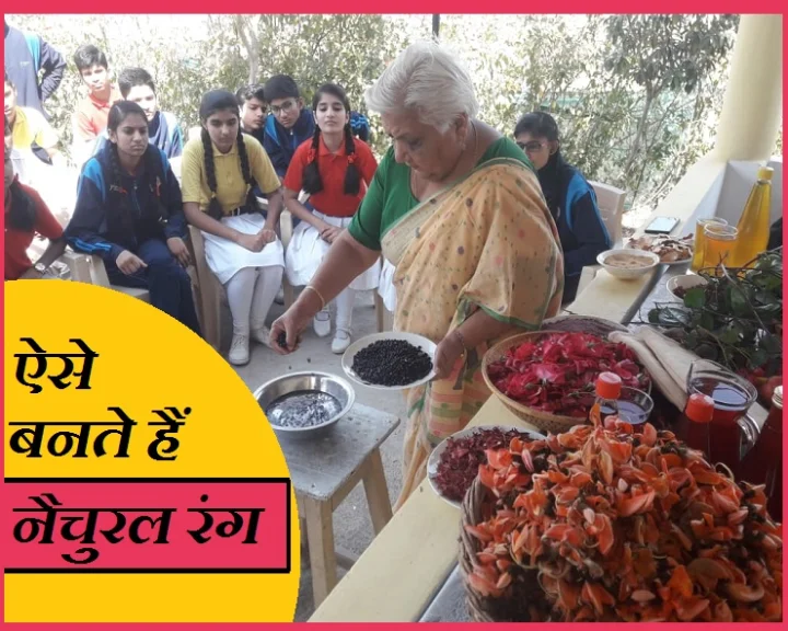 जनक पलटा