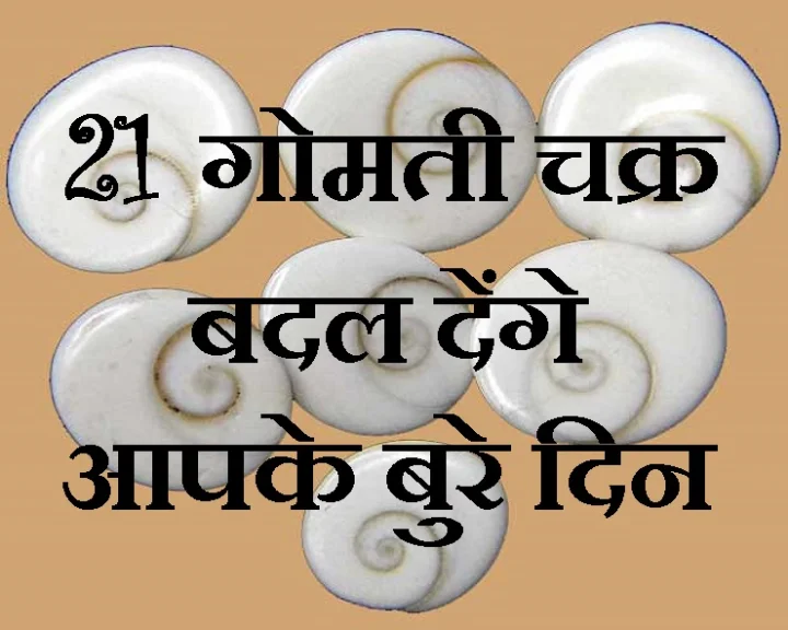 गोमती चक्र