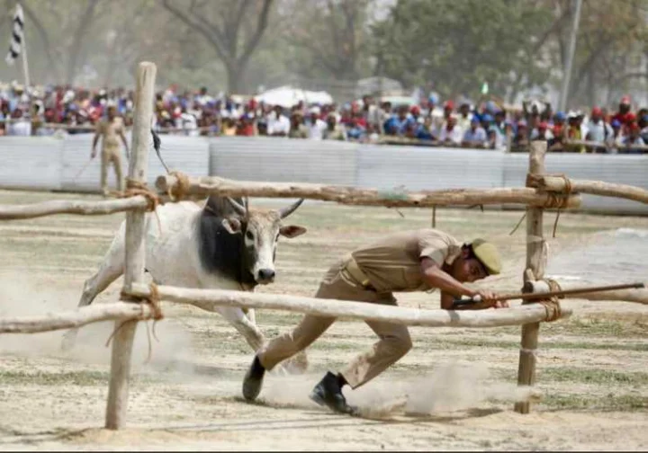 kannauj