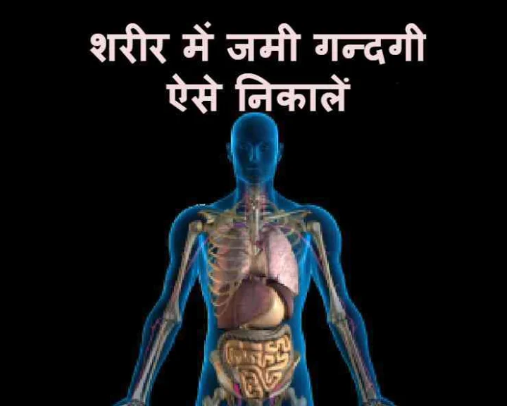 body toxins