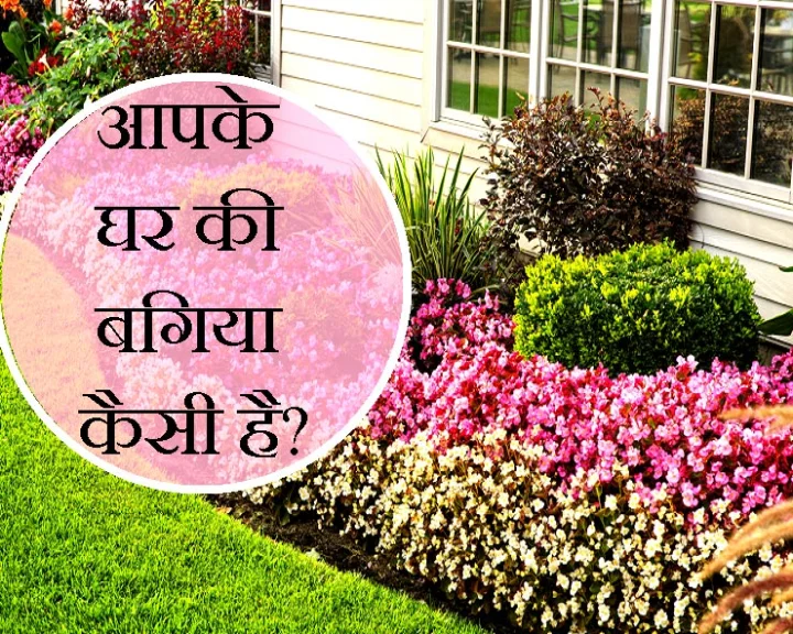 घर की बगिया