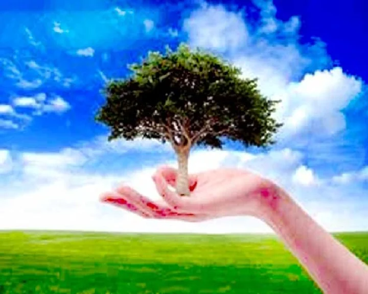 environment
